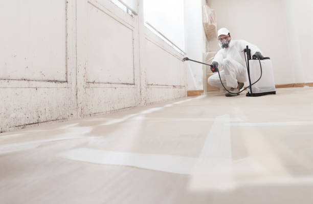 24/7 Emergency Mold Remediation experts in McBain, MI
