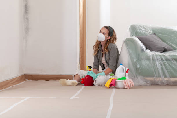 Reliable Mold Remediation contractor in McBain, MI by Cheap Mold Removal